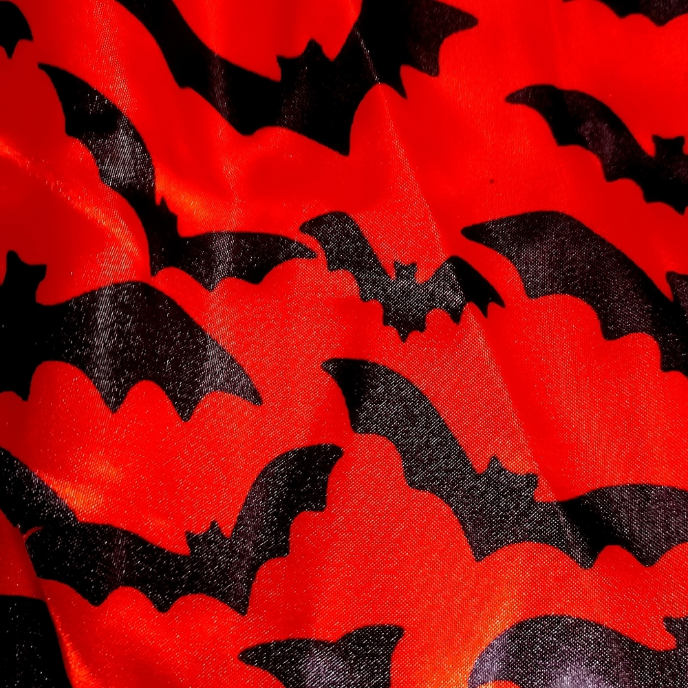 VAMPIRE Halloween Costume Girls XL - Picture 5 of 8